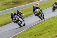 Oulton-Park-14th-March-2020;PJ-Motorsport-Photography-2020;anglesey;brands-hatch;cadwell-park;croft;donington-park;enduro-digital-images;event-digital-images;eventdigitalimages;mallory;no-limits;oulton-park;peter-wileman-photography;racing-digital-images;silverstone;snetterton;trackday-digital-images;trackday-photos;vmcc-banbury-run;welsh-2-day-enduro